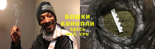трава Алапаевск