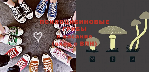 СК Верея