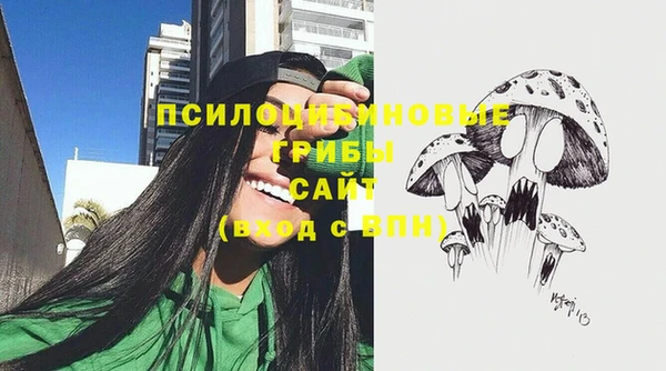 трава Алапаевск