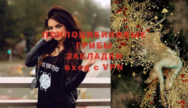 гидра Верхнеуральск